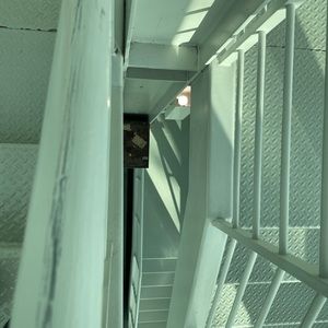 Meet your Posher, Lily